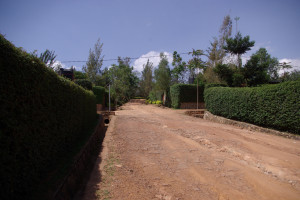Blick die Straße rauf