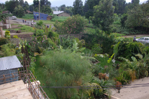 Blick auf den einen Gartenteil