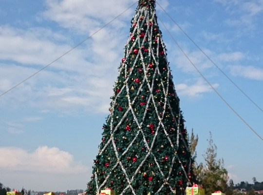 Kigalis Weihnachtsbaum
