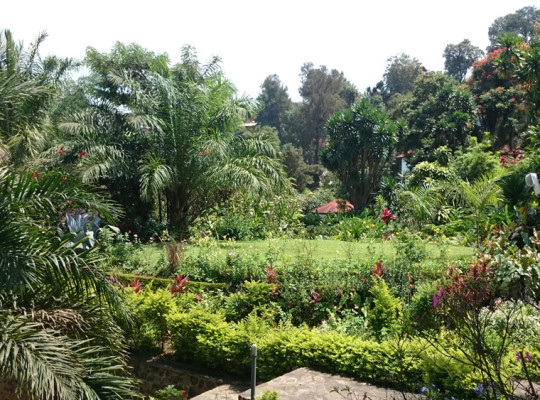 Garten vom Orchids in Bukavu