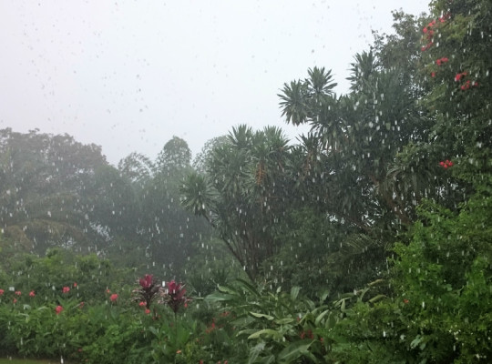 Regen in Bukavu