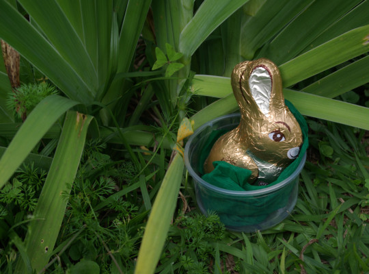 Osterhase mit Weglaufsperre ;-)