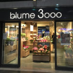 Die Schweizer wieder: nicht 2000, nein Blume 3000!
