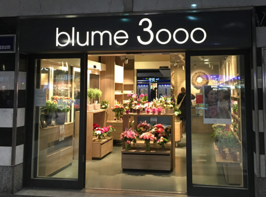 Die Schweizer wieder: nicht 2000, nein Blume 3000!